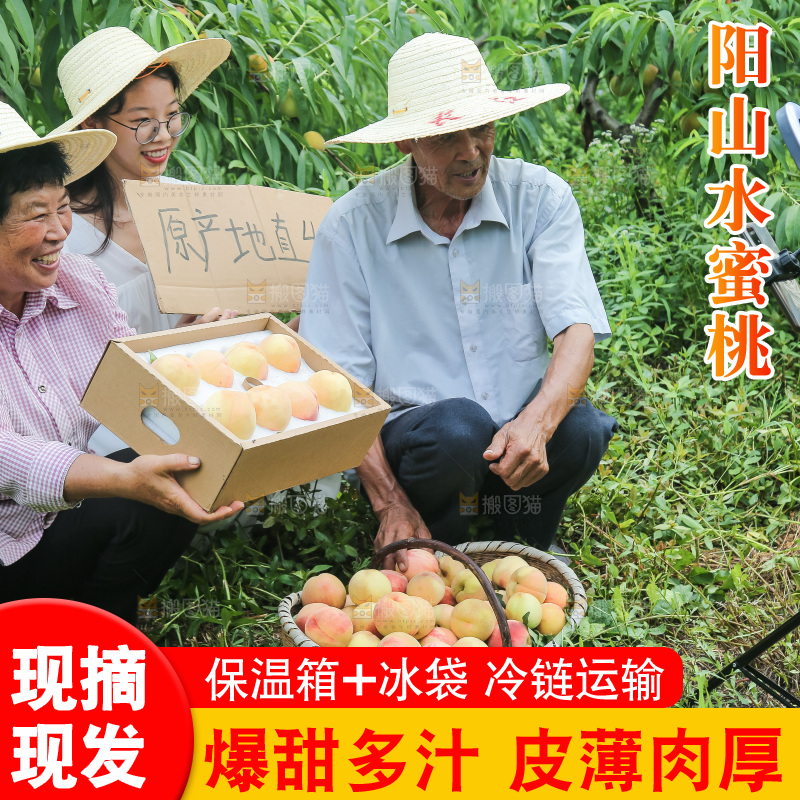 手里拿着现摘水蜜桃