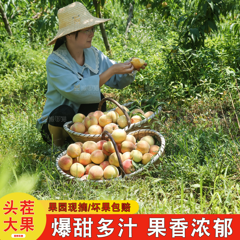 手里拿着现摘水蜜桃