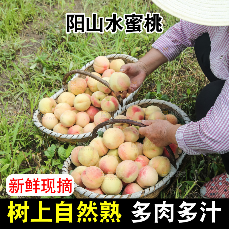 手里拿着现摘水蜜桃