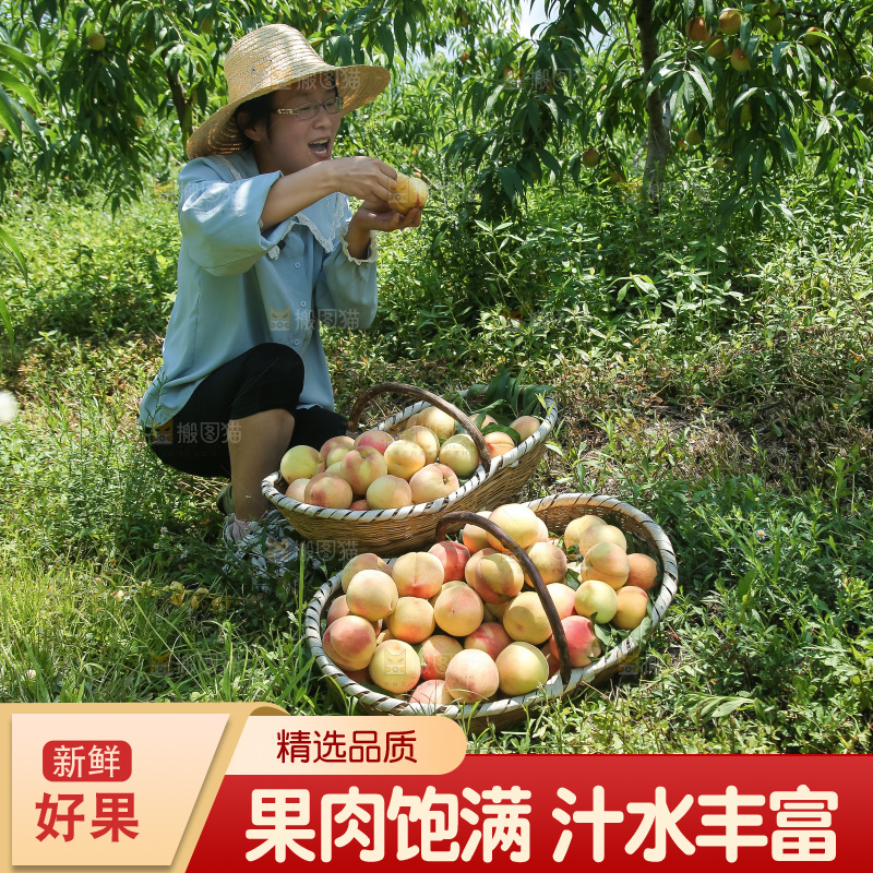 手里拿着现摘水蜜桃