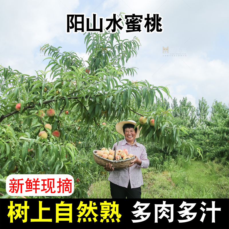 手里拿着现摘水蜜桃