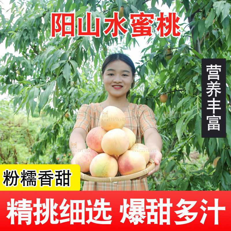 手里拿着现摘水蜜桃