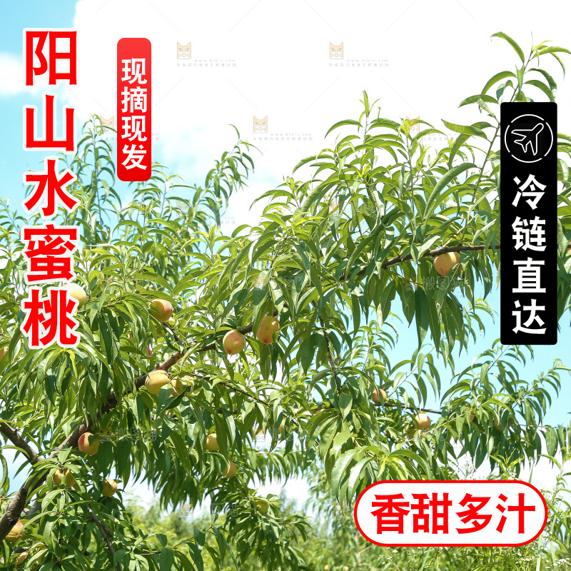 手里拿着现摘水蜜桃