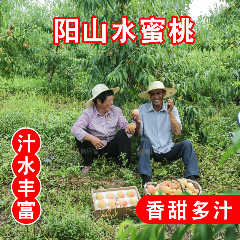 手里拿着现摘水蜜桃