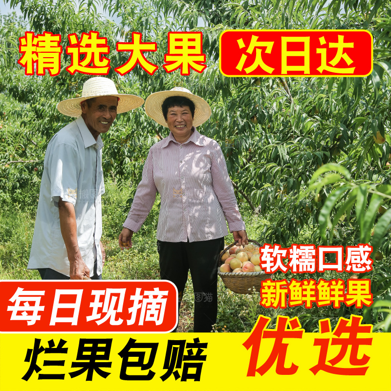 手里拿着现摘水蜜桃