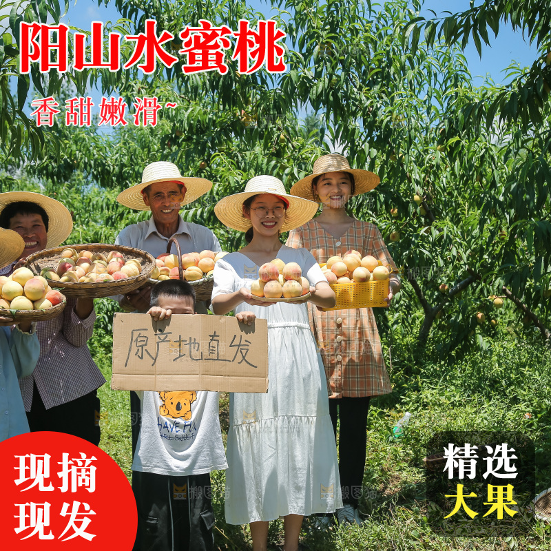 手里拿着现摘水蜜桃