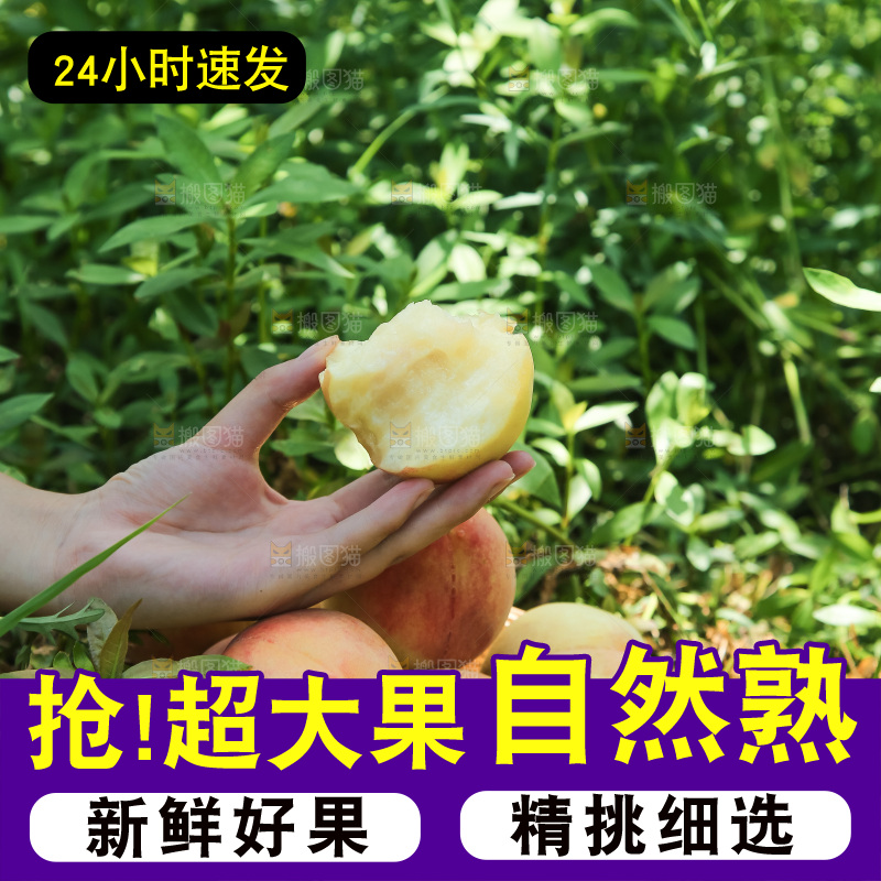 手里拿着现摘水蜜桃