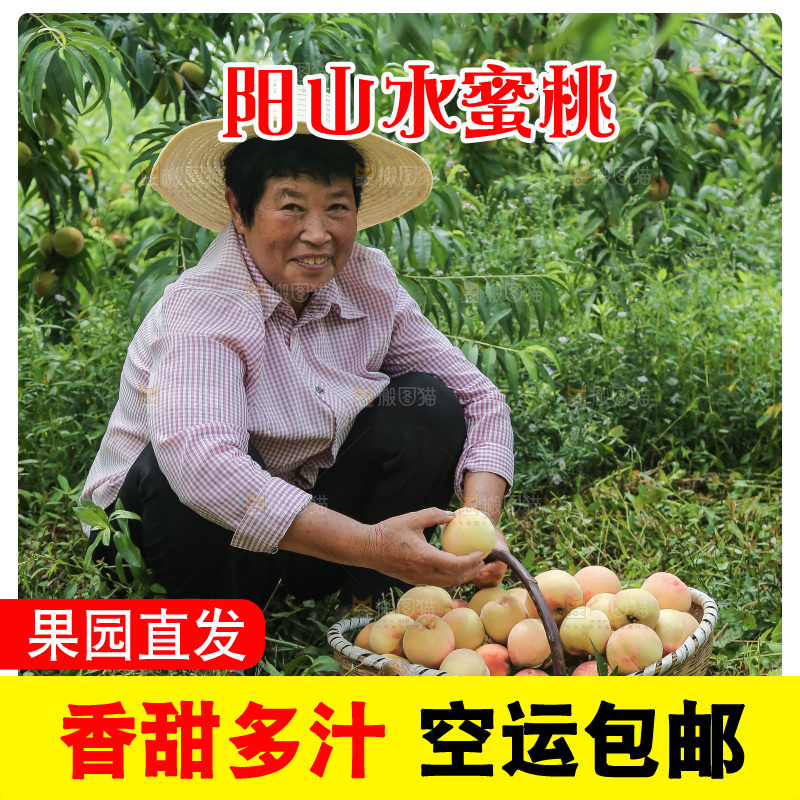 手里拿着现摘水蜜桃