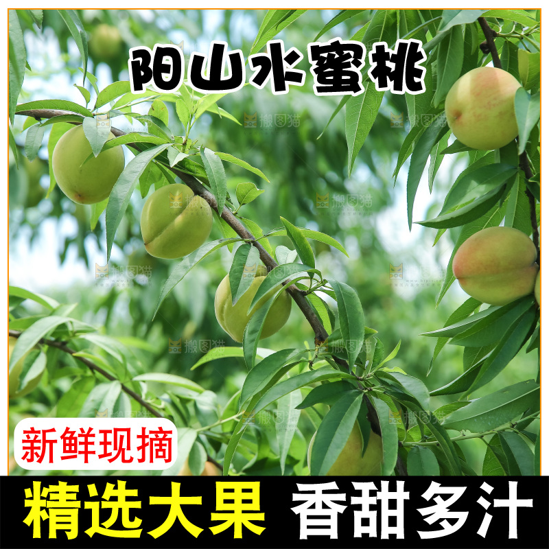 手里拿着现摘水蜜桃