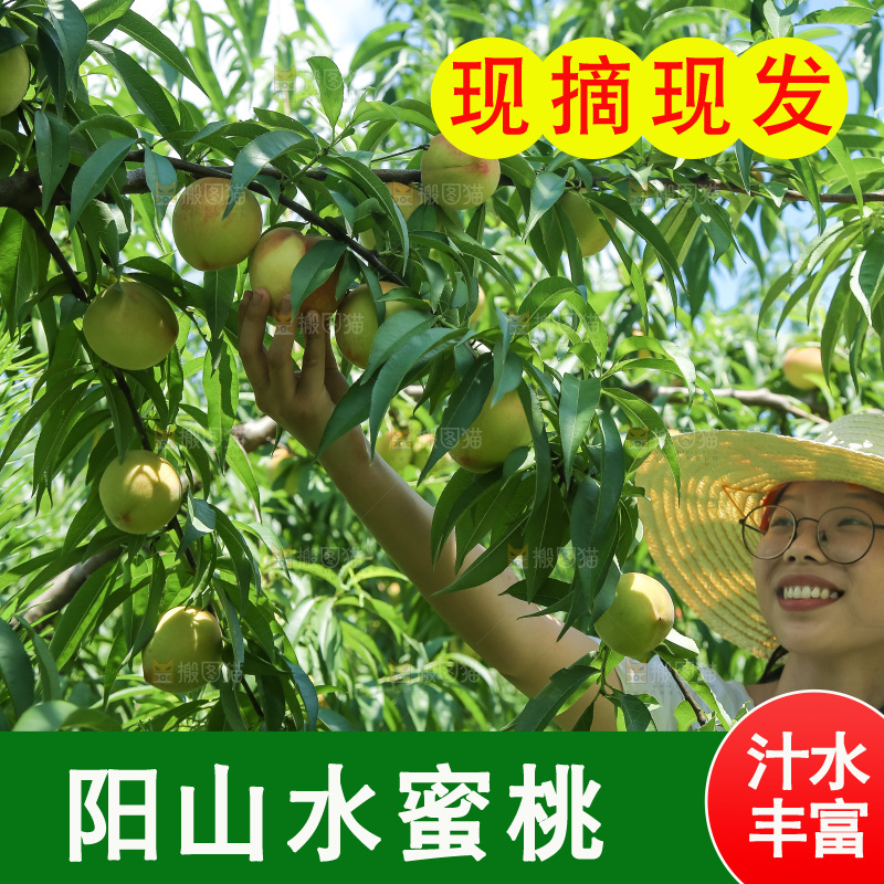 手里拿着现摘水蜜桃