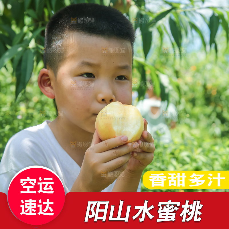 手里拿着现摘水蜜桃