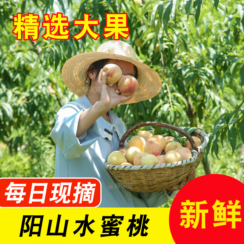 手里拿着现摘水蜜桃