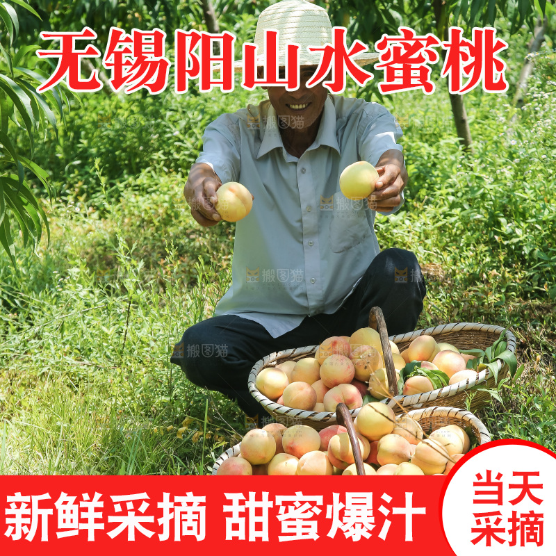 手里拿着现摘水蜜桃