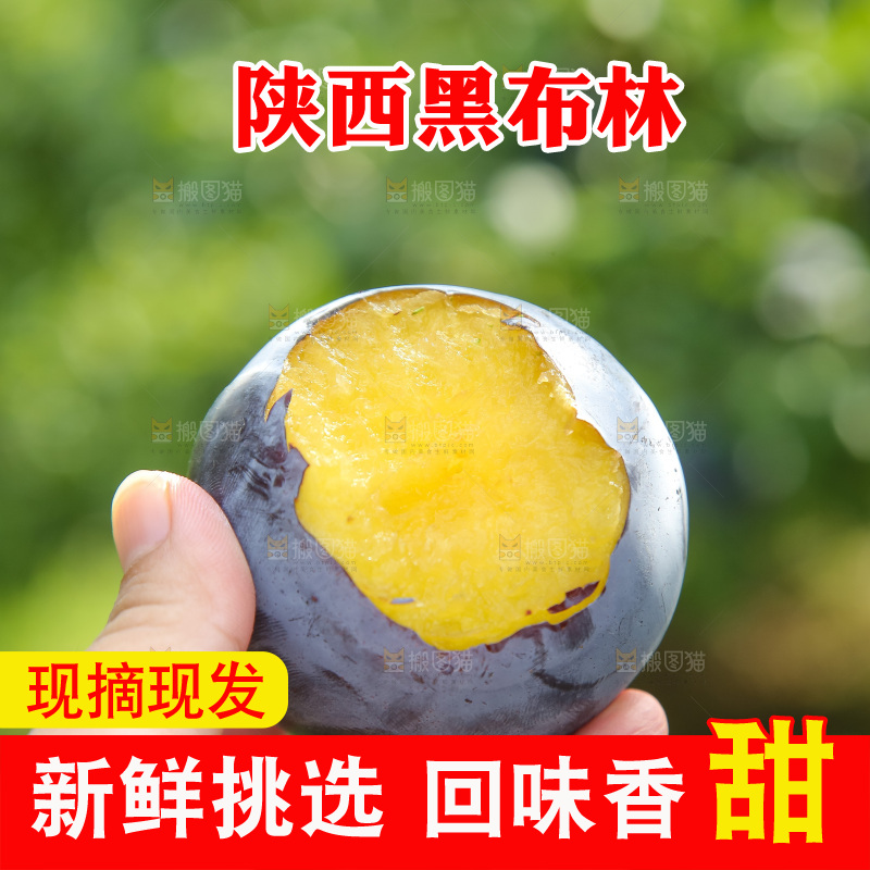 新鲜现摘黑布林