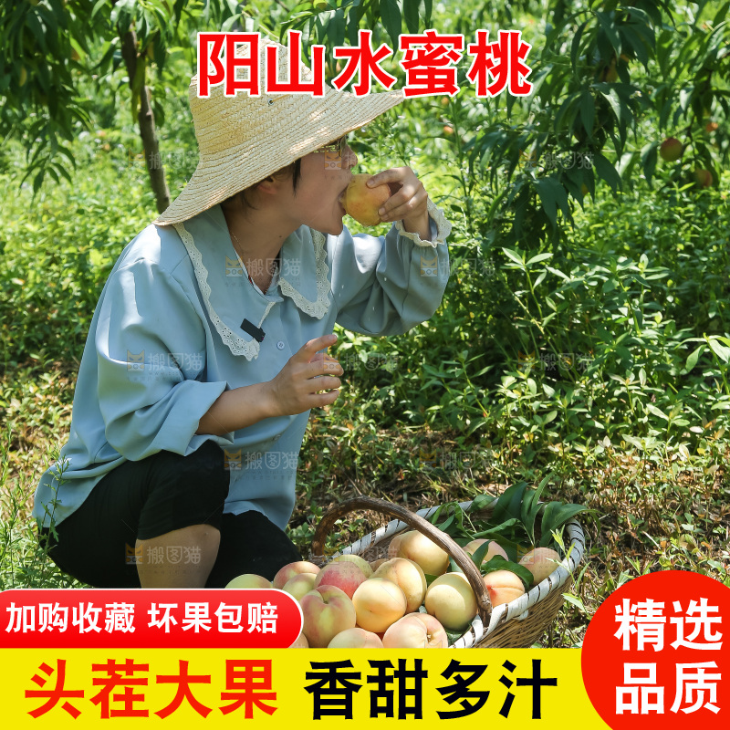 手里拿着现摘水蜜桃