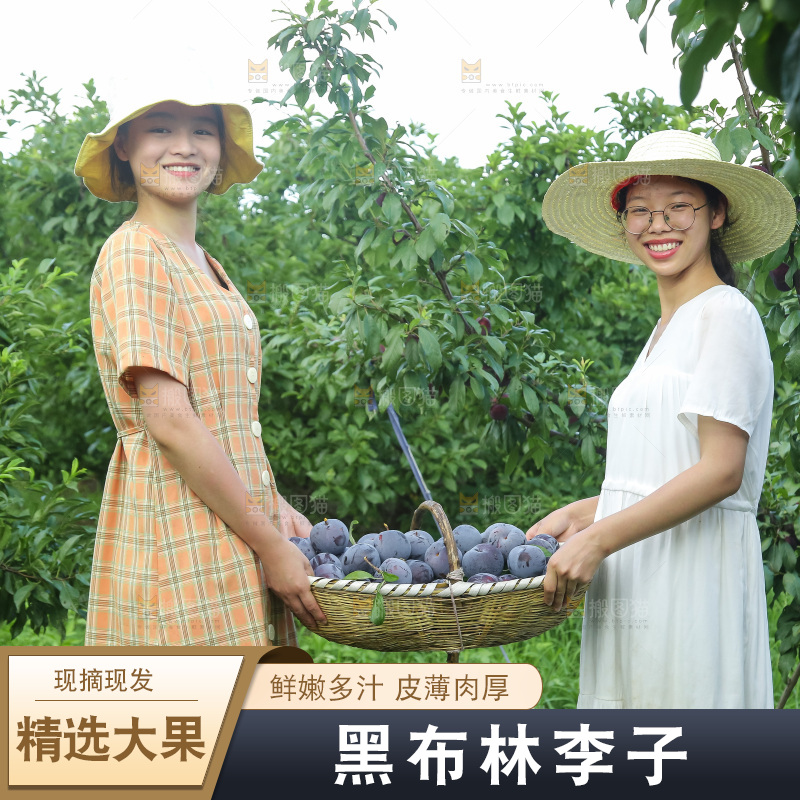 新鲜现摘黑布林