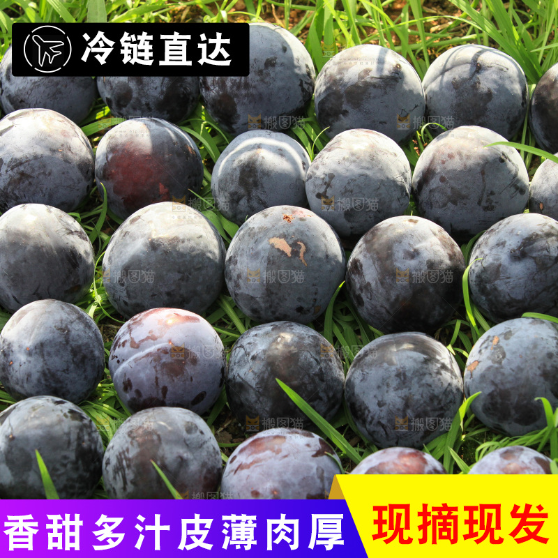新鲜现摘黑布林