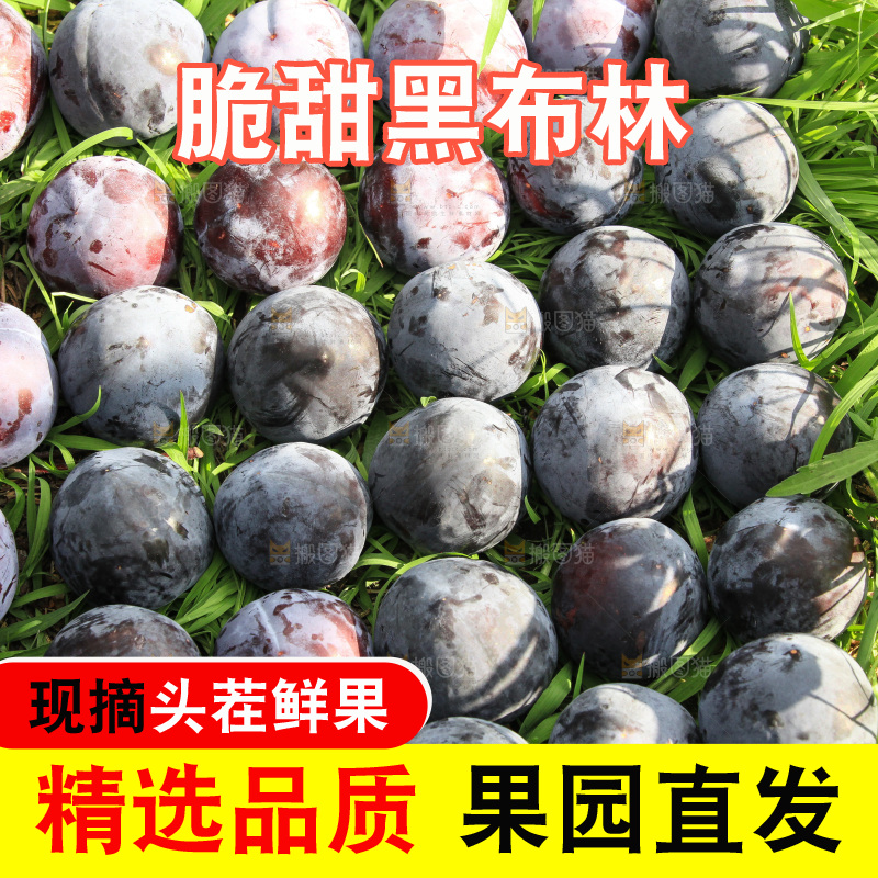 新鲜现摘黑布林