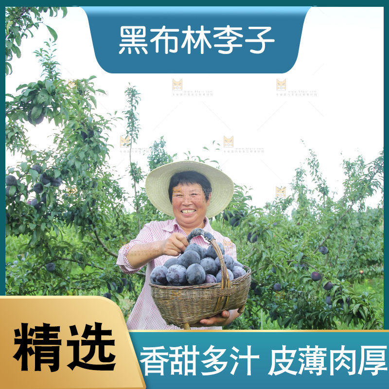 新鲜现摘黑布林