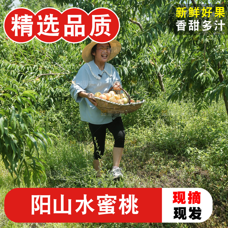 手里拿着现摘水蜜桃
