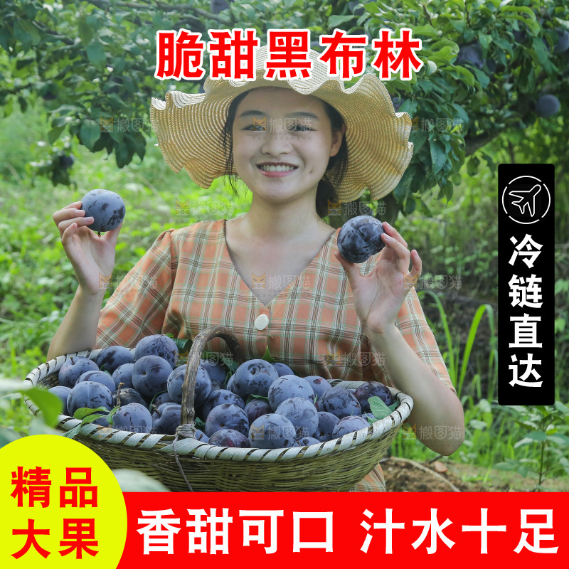 新鲜现摘黑布林