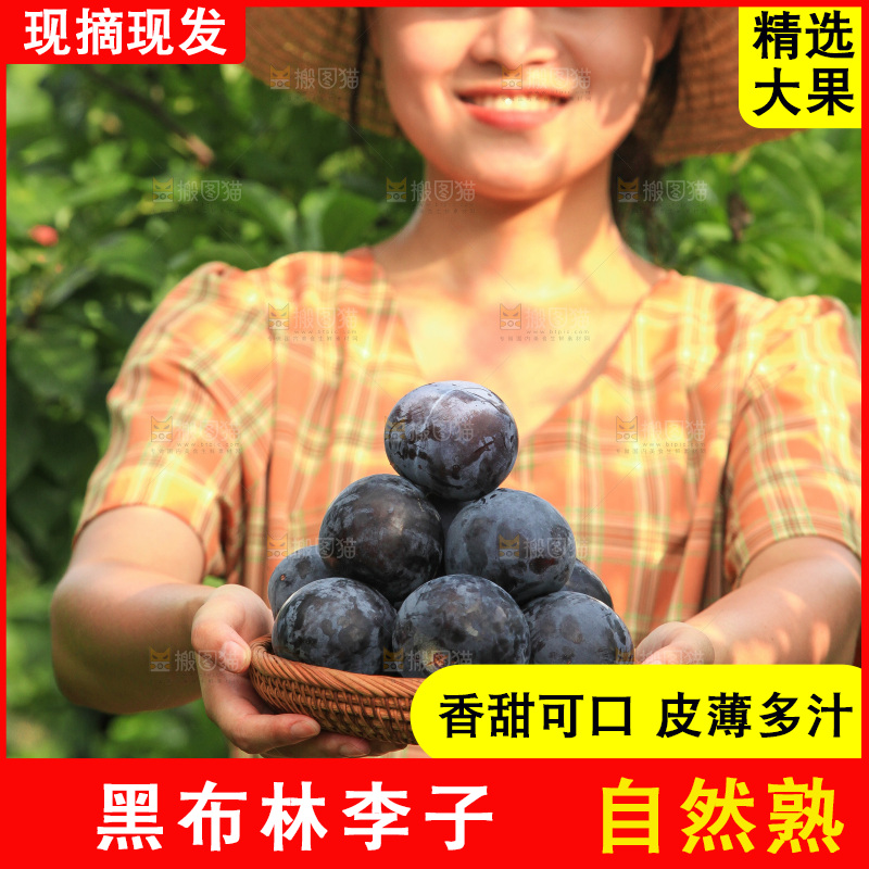 新鲜现摘黑布林