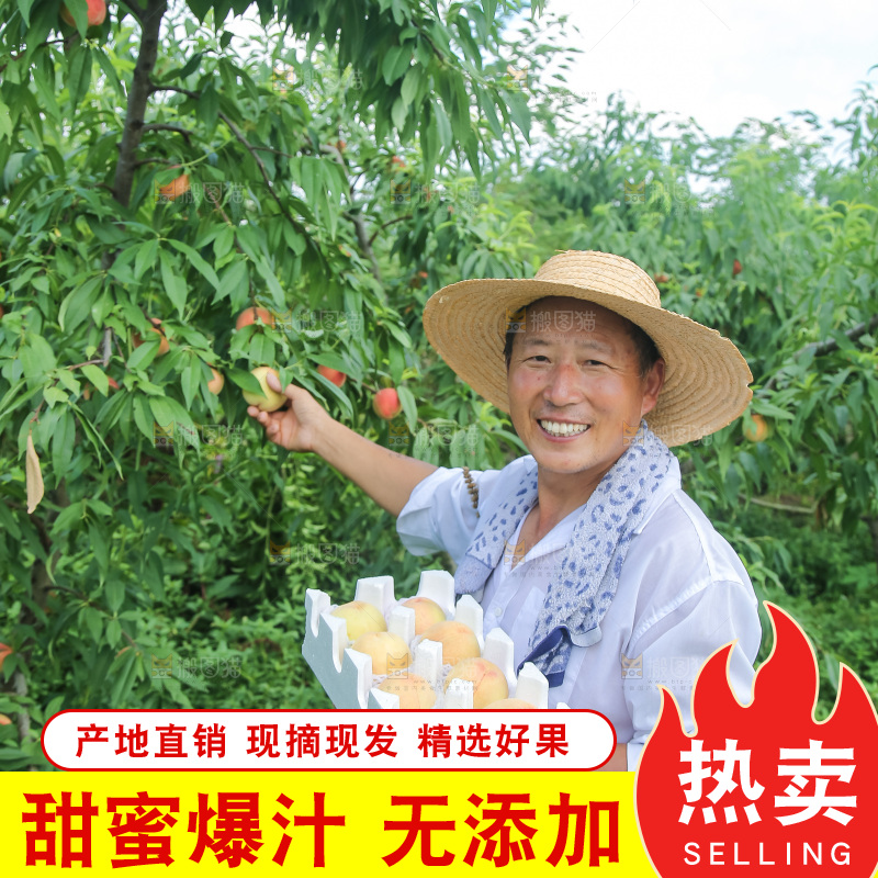 手里拿着现摘水蜜桃