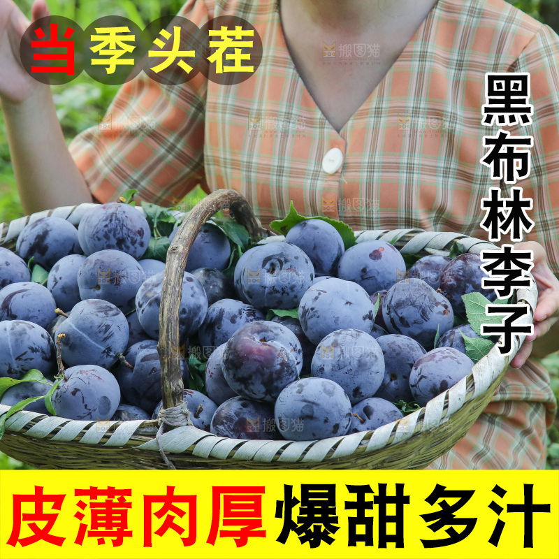 新鲜现摘黑布林