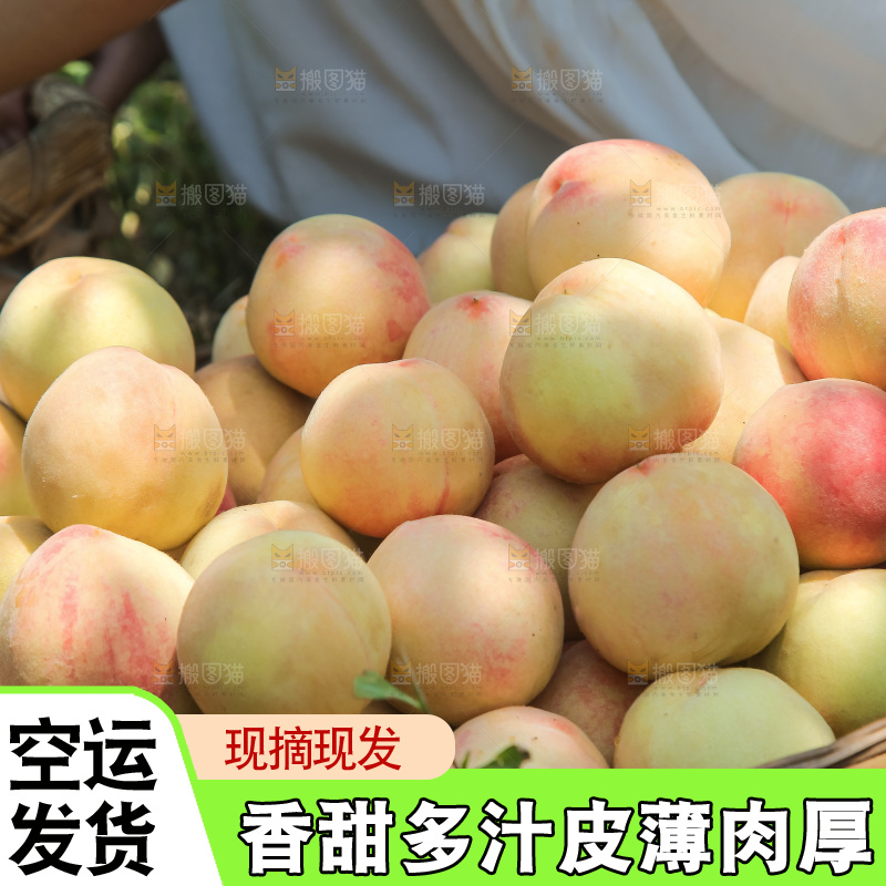 手里拿着现摘水蜜桃