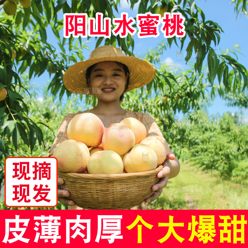 手里拿着现摘水蜜桃