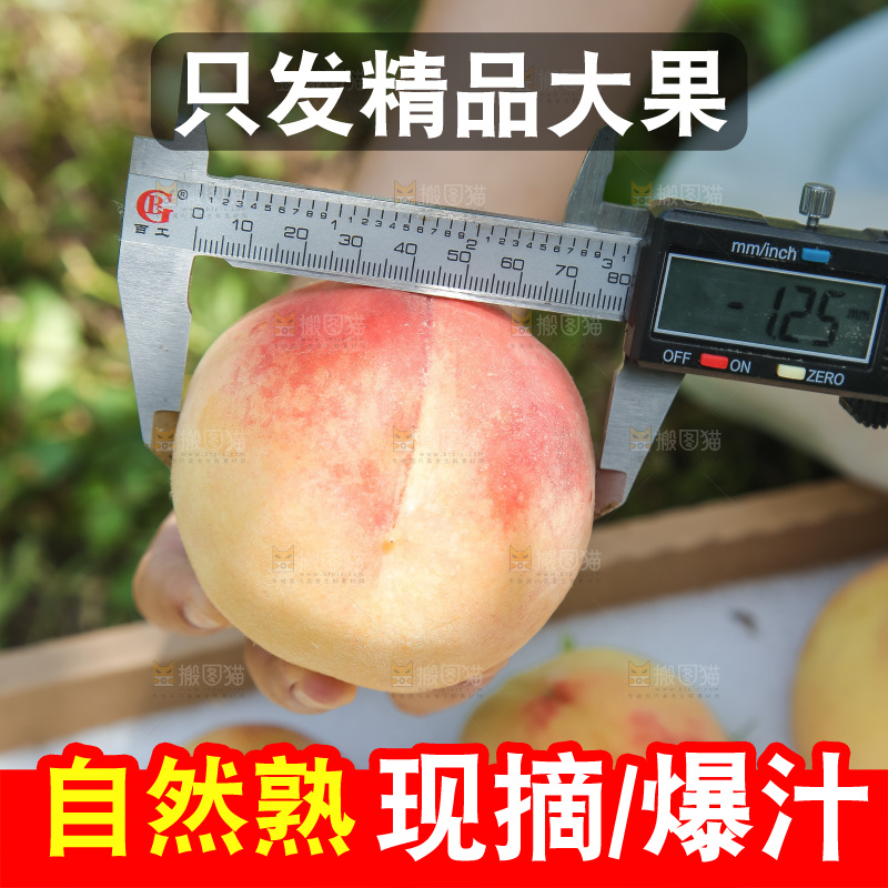 手里拿着现摘水蜜桃