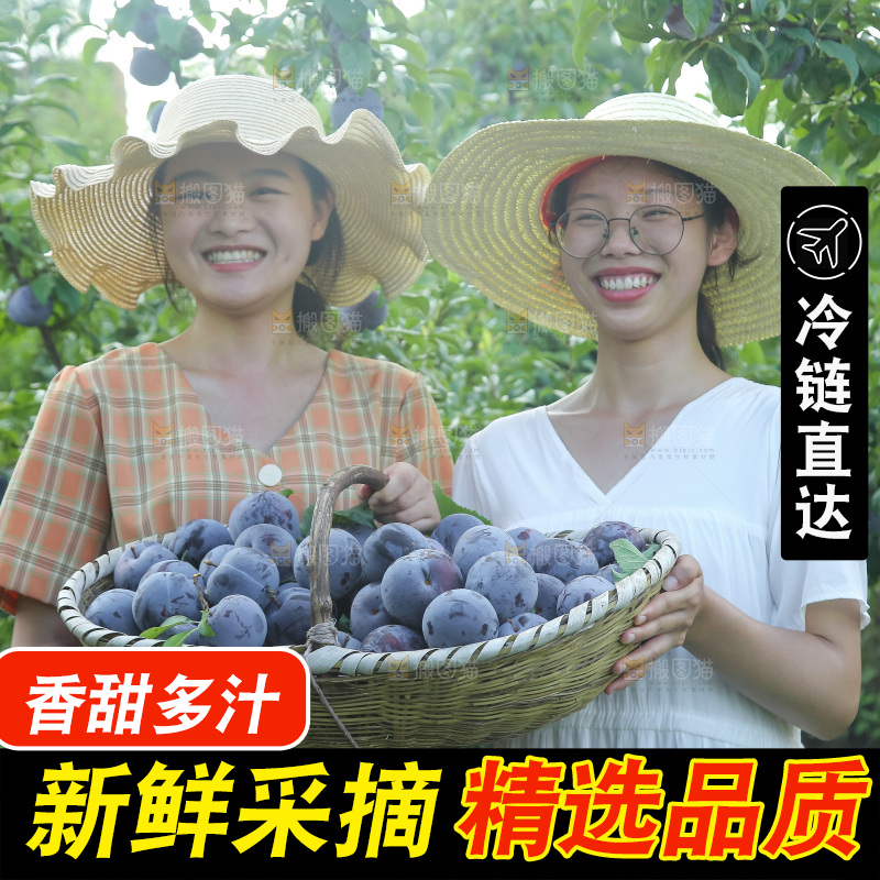 新鲜现摘黑布林