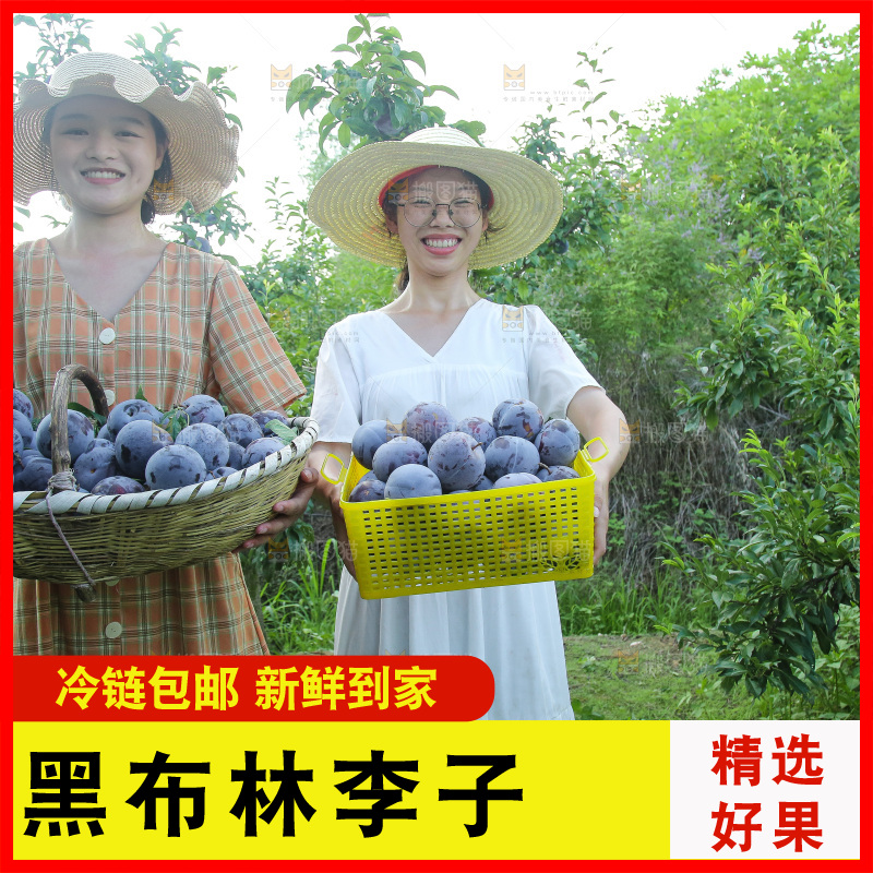 新鲜现摘黑布林