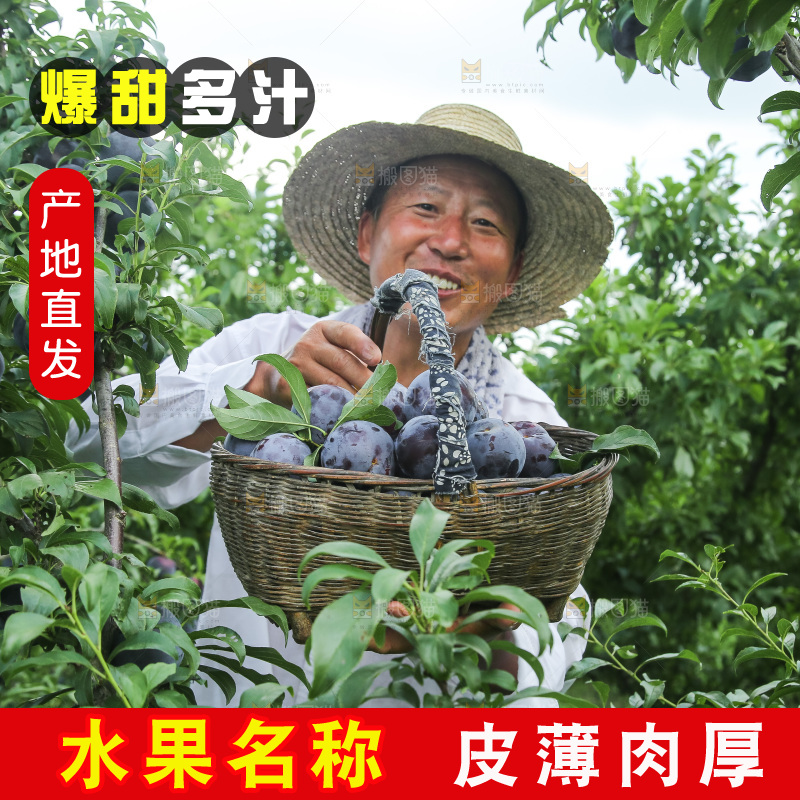新鲜现摘黑布林