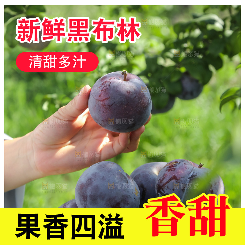 新鲜现摘黑布林