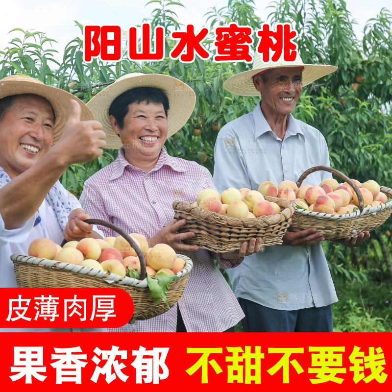 手里拿着现摘水蜜桃