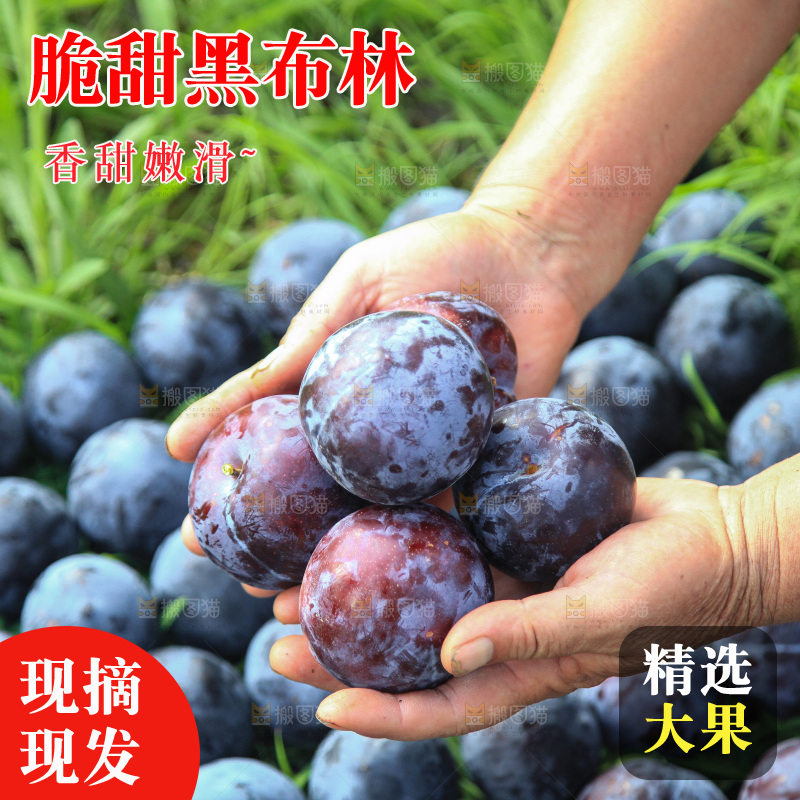 新鲜现摘黑布林