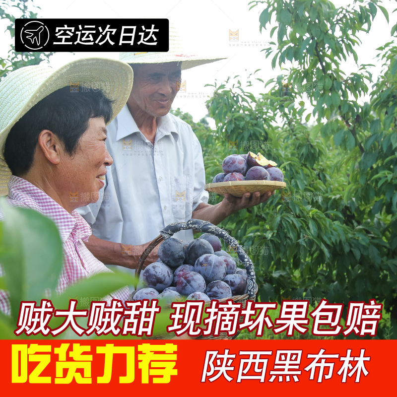 新鲜现摘黑布林