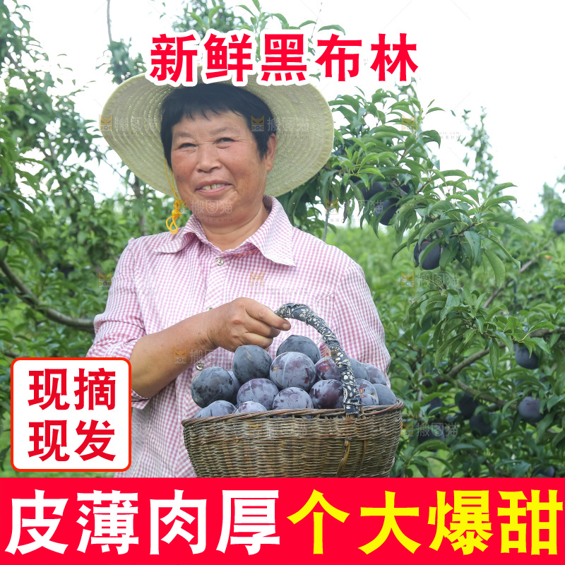 新鲜现摘黑布林