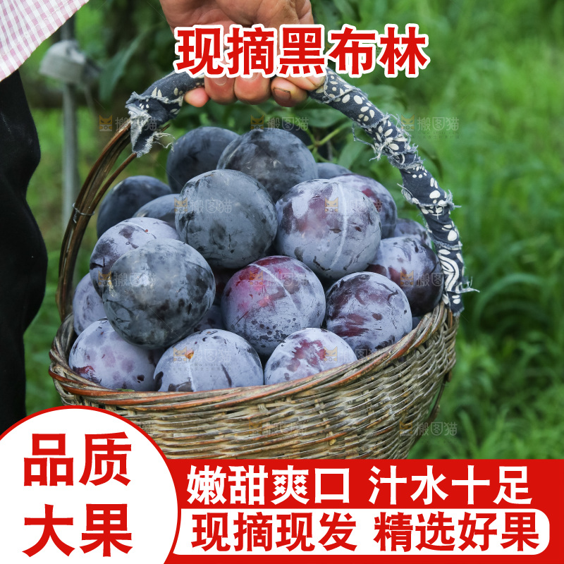 新鲜现摘黑布林