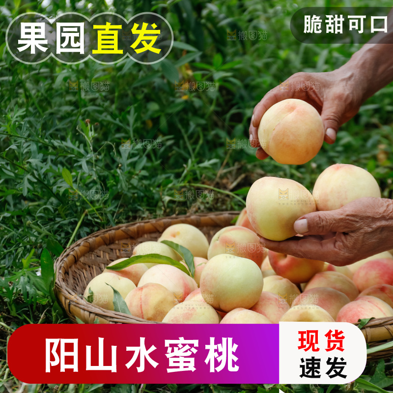 手里拿着现摘水蜜桃