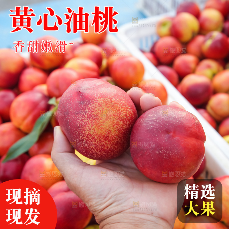 现摘的新鲜黄心油桃