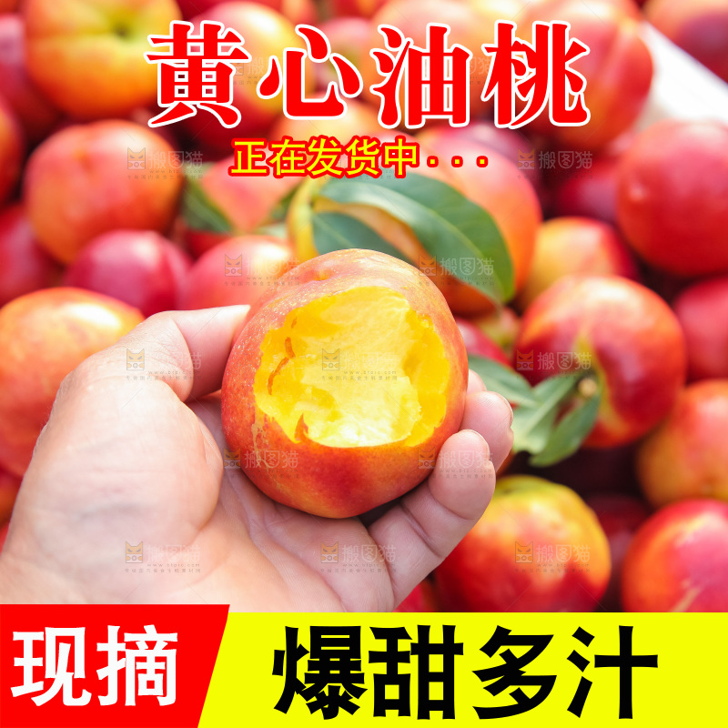 现摘的新鲜黄心油桃