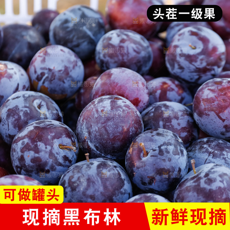 新鲜现摘黑布林