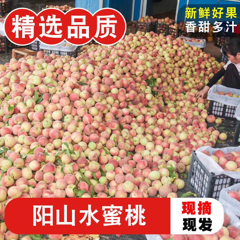 手里拿着现摘水蜜桃
