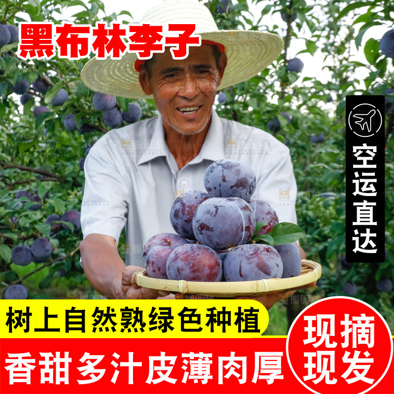 新鲜现摘黑布林