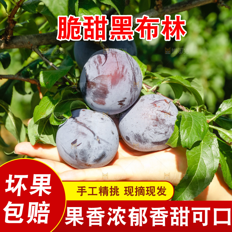 新鲜现摘黑布林
