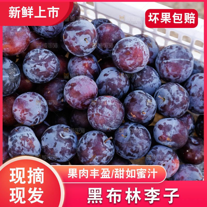 新鲜现摘黑布林