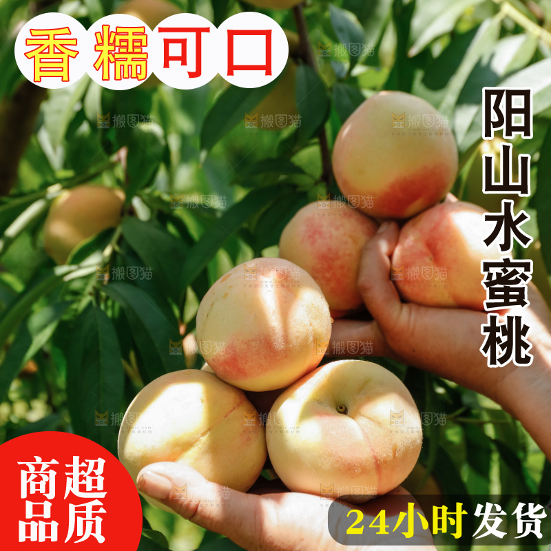 手里拿着现摘水蜜桃