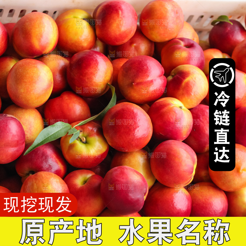 现摘的新鲜黄心油桃